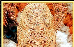 संत नगरी शेगावमध्ये श्री श्याम फाल्गुन उत्सवाची भक्तिमय धूम